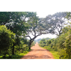 Arrivée Sri Lanka