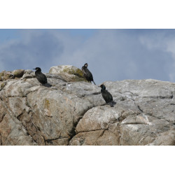 Week-end de découverte naturaliste